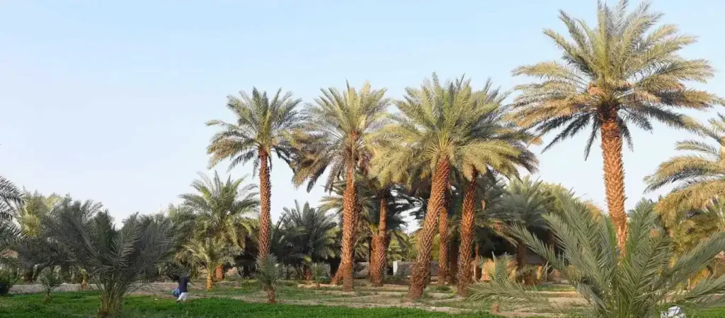 Historical and Religious Significance