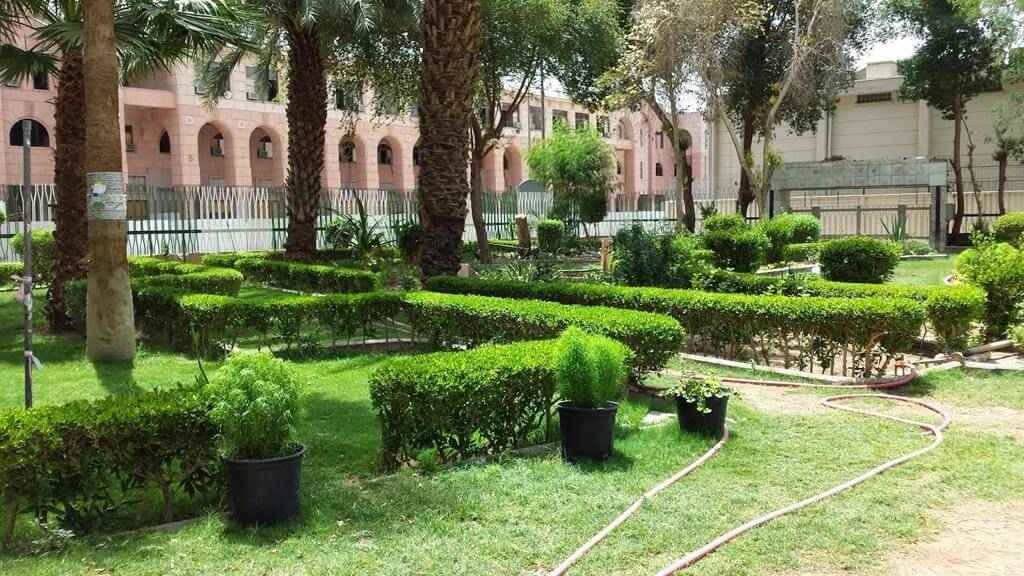 Historical Context After the Passing of the Prophet ﷺ