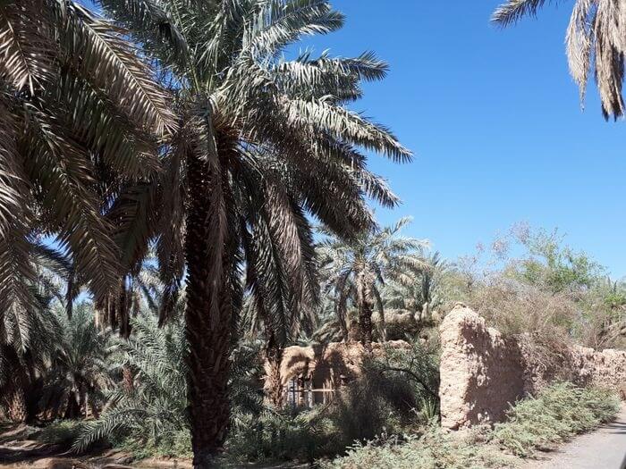 The Historical Background of the Well of Rumah